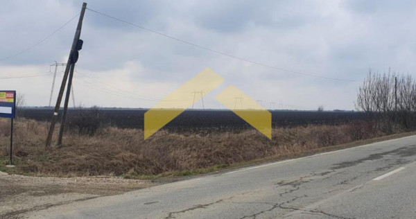 Teren cu PUZ de zona Turnu