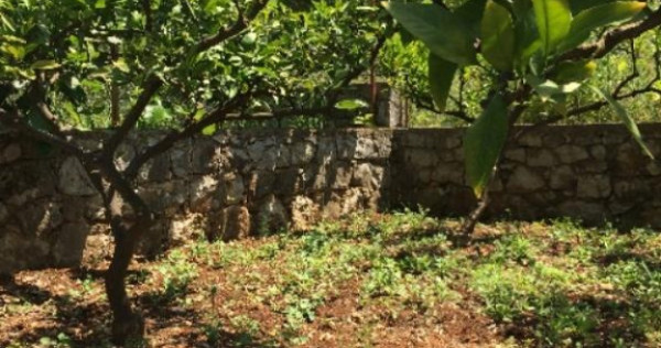 Teren de in Bar Muntenegru