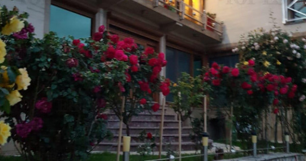 Casa de in Budva Muntenegru