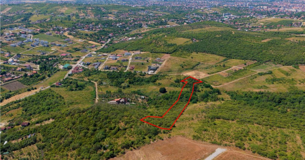 RECO Teren Saldobagiu de munte