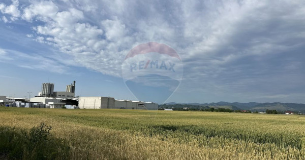 Teren zona industriala Roznov