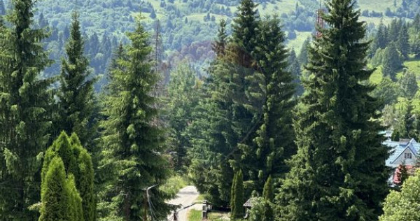 Hotel / Pensiune cu 18 camere de vânzare Durau