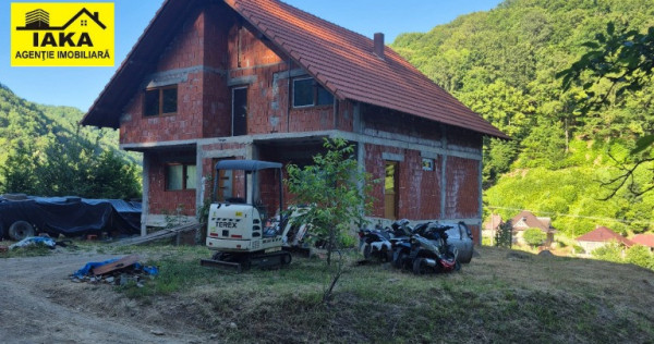 Ilba, casa caramida, 40 ari teren