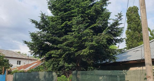 Teren intravilan 190 mp curti constructii - Lac Plumbuita