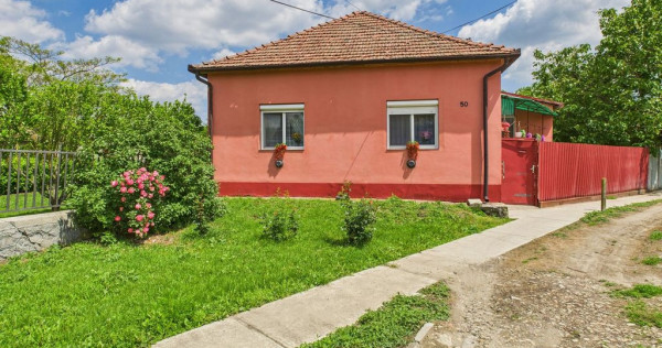 Casă cu 3 camere și teren generos lângă frontieră