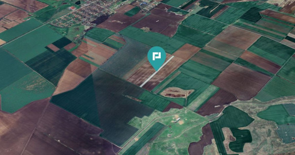 Teren 30.000 mp la drum asfaltat – Peciu Nou