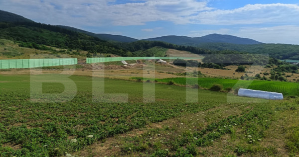 Teren extravilan, de vanzare, 6500 mp, zona Crasnei