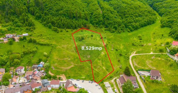 COMISION 0% Teren de 8529 mp/Bunloc/Intravilan