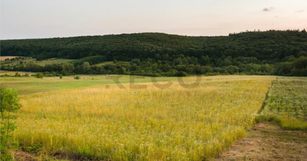 RECO Teren extravilan 11500 mp -Lazareni