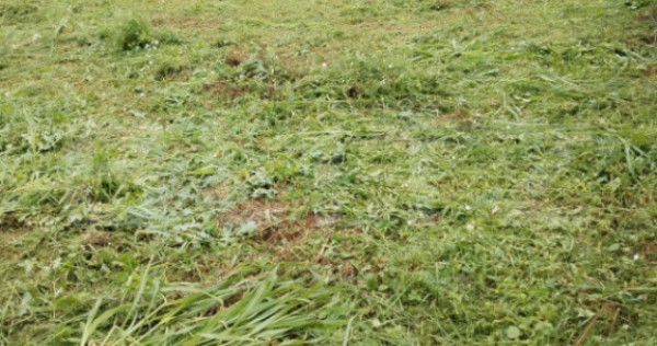 Teren casa individuală, Dumbrăvița