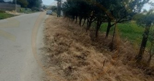 0% COMISION - TEREN GENEROS 5000 MP GOLESTI - ARGES