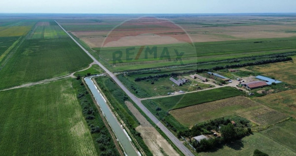 Fermă vegetală 148 ha și sediu fermă M&atilde;ic&atilde;neşti !