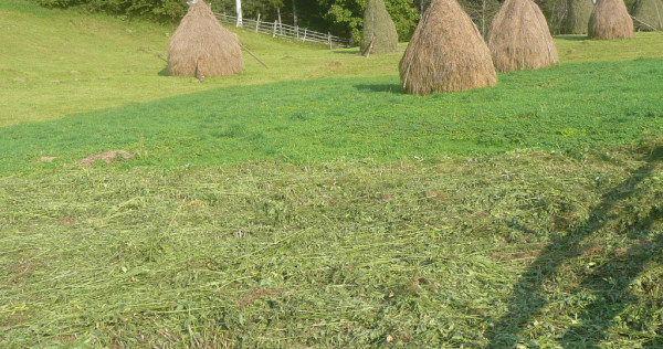 Teren intravilan situat in Traisteni