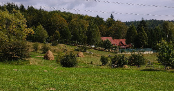 Teren intravilan situat in Traisteni