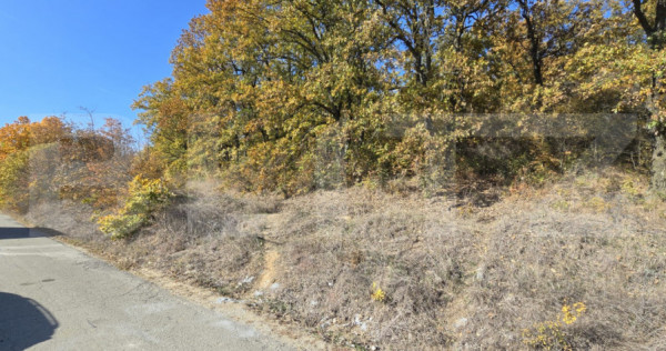 Oportunitate! 5 hectare Padure, Satul de Vacanta, parcelabil