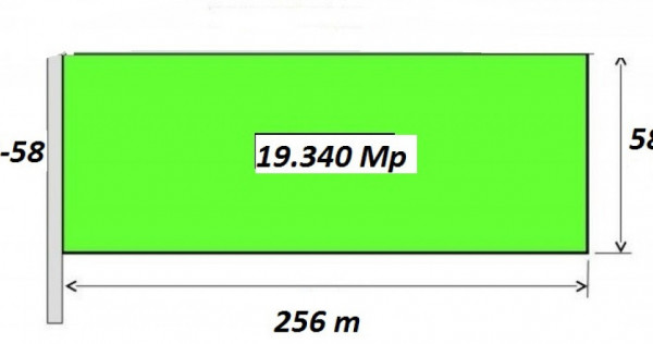 Teren Stradal Piscul Radului 19.340 mp New 2025