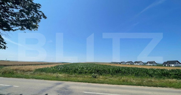 Teren Intravilan, 10300 mp, zona Mitocului