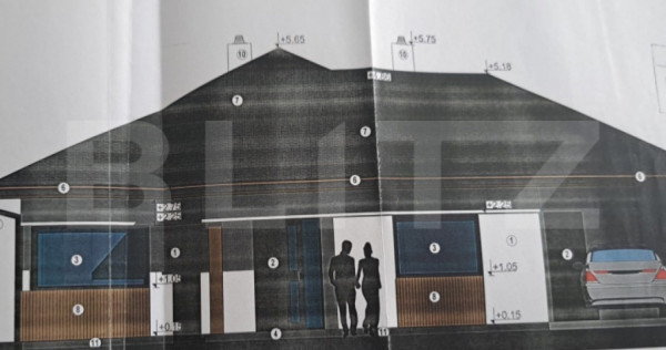 Casa pe 10 ari Viisoara