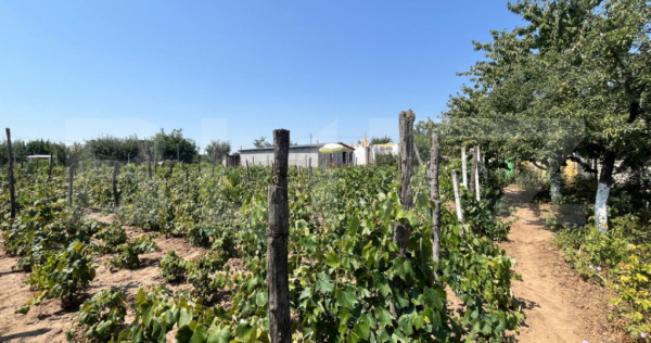 Teren 1021 mp, zona Hanul Doctorului