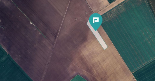 Teren 36.000 mp în Peciu Nou