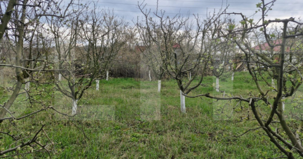 Teren de 2700 mp, deschiderea la strada principala, Borscaut