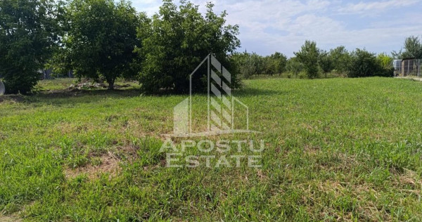 Teren intravilan in vatra satului Giarmata Vii de 683 mp