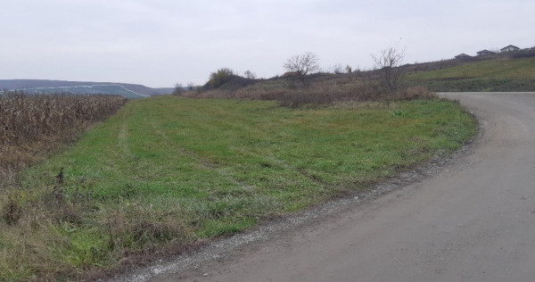 8000mp teren in Cluj str. Soporului