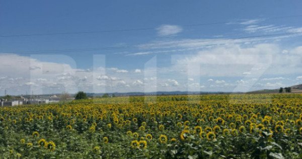 Teren intravilan 20000 mp, Parc Industrial Badeni