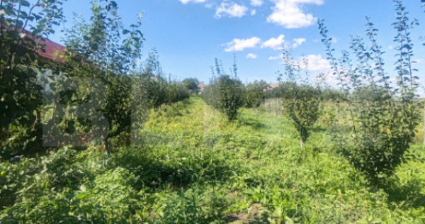 Căsuță tip foișor, 30 mp, pe un teren de 3.000 mp, veder