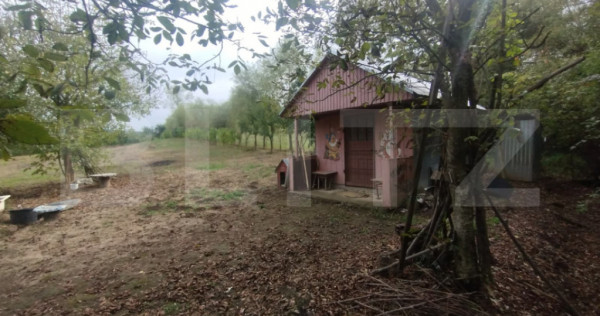 Cabana + teren intravilan, 50 ari, oras Beclean