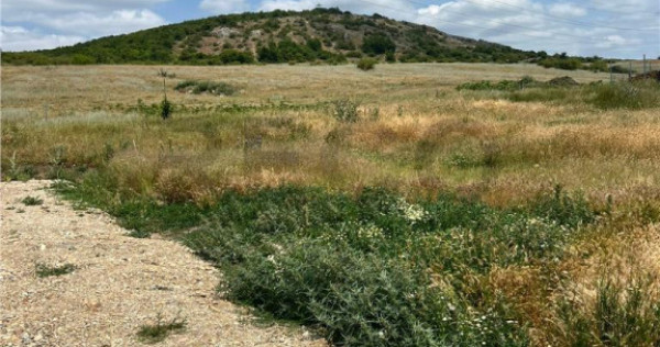 RECO teren de in zona Betfia