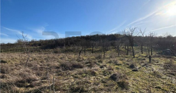 RECO Teren intravilan 2460 mp Santelec