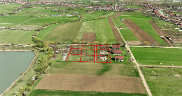 RECO , teren intravilan, Ineu,Bihor