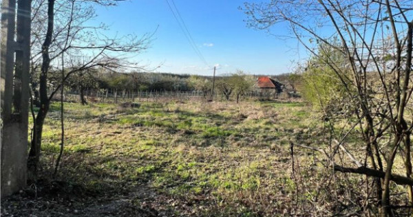 RECO teren de in zona de Dealuri Oradea