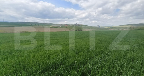 Teren extravilan 5,2 ha deschidre la DN ideal pentru industr