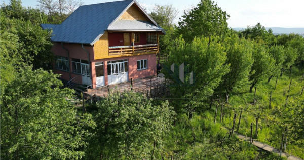 Pietrarie Vila P 1 s=164mp garaj beci teren 2000mp livada vi