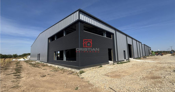 Depozit/hala/spatiu industrial Mogosoaia - Buftea