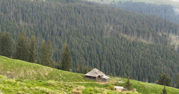 SUPER OPORTUNITATE, DE VANZARE O PROPRIETATE SPECIALA, MUNTE