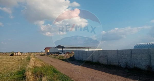 Teren intravilan cu hala construita