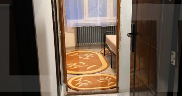 Apartament cu o cameră Buziașului