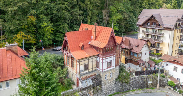 Oportunitate! Vila cu arhitectura spectaculoasa ultracent...