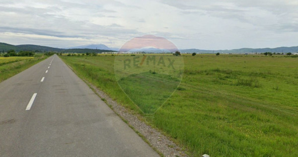 Teren intravilan 2000 mp – Strada Cucului, Brașov