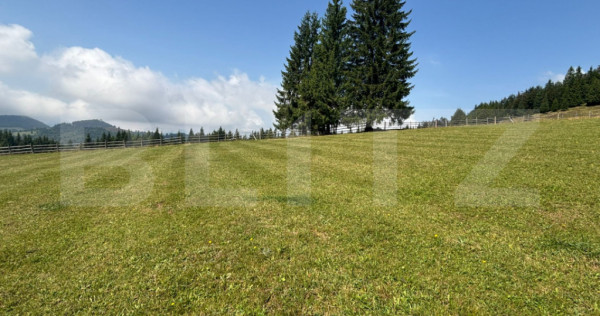 Vânzare teren intravilan de 2 hectare, în Pasul Tihuța