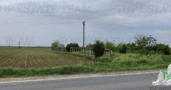 Teren intravilan - - centura - Cazasu - Braila