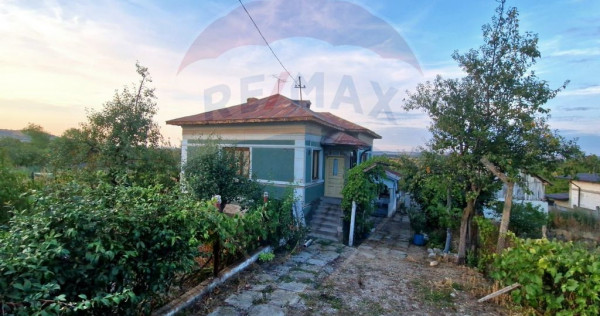 Casă / Vilă cu 4 camere in Scaesti , Teren - 900 mp