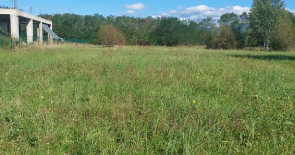 TEREN INTRAVILAN\699 mp, 45€ mp\ CARANSEBEȘ\ ZONA TEIUȘ