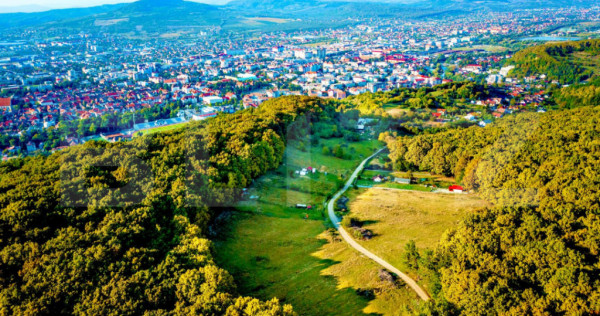 Teren extravilan de vanzare, 740 mp, zona Taberei