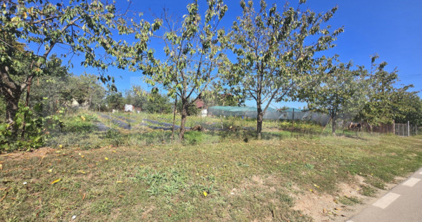 Teren intravilan,1000 mp,toate utilitatile,Penny Micesti