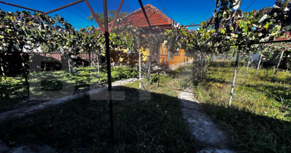 Doua casa de vanzare, teren intravilan 1773 mp, zona Stoloja