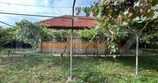 Doua casa de vanzare, teren intravilan 1773 mp, zona Stoloja